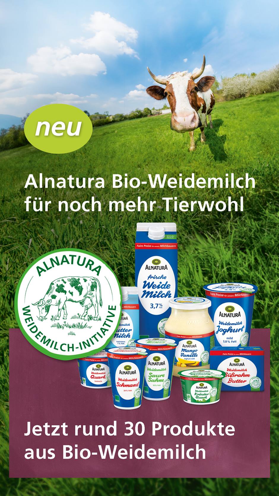 Kuh auf einer grünen Weide. Alnatura Weidemilchprodukte und Text "Alnatura Bio-Weidemilch für noch mehr Tierwohl. Jetzt rund 30 Produkte aus Bio-Weidemilch."