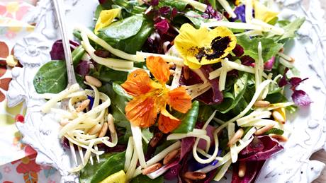 Sommersalat mit Blütenkäse und Pinienkernen