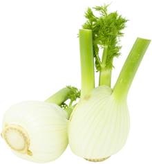 Fenchel